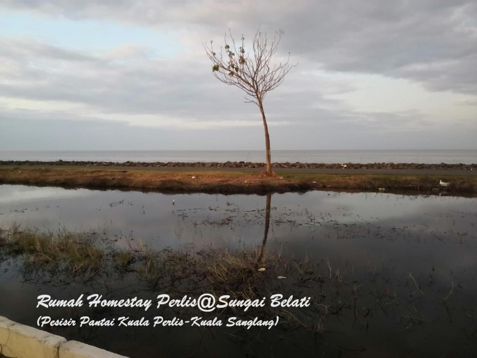 Vila Rhumah Sungai Belati Simpang Empat  Exteriér fotografie